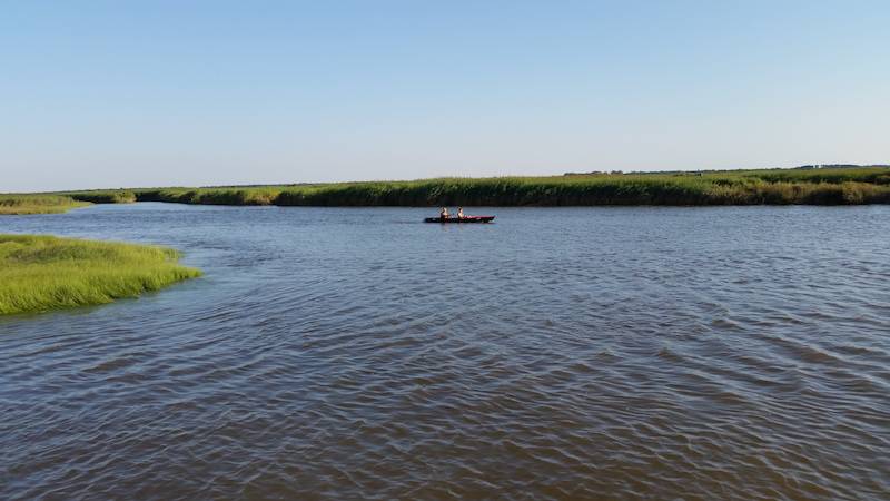 Canoe sur la Leyre. Bassin d'arcachon