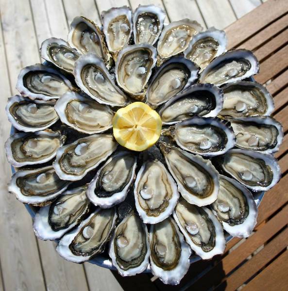 Où déguster les meilleures huîtres du Bassin d'Arcachon?
